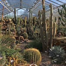 Zunächst befand er sich zwischen stachus und hauptbahnhof. Botanischer Garten Nymphenburg Munchen Creme Guides Botanischer Garten Botanischer Garten Munchen Garten Munchen