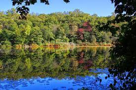 The rock quarry that is near by was used in noisy frogs at cranberry lake preserve (white plains, ny) books, cupcakes, and cats chasing. Cranberry Lake Preserve