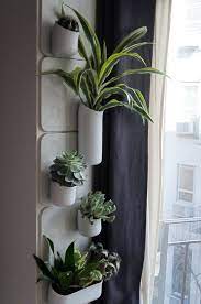 Daniel Chang Dchang Small Vertical Gardens Apartment Garden Vertical Garden