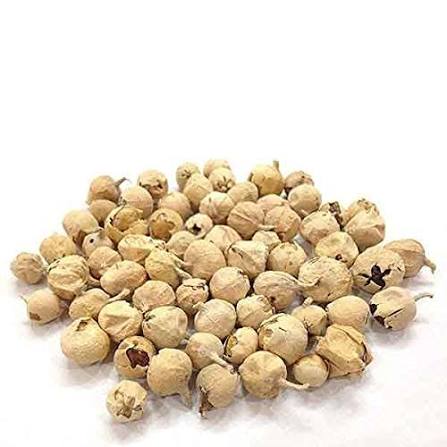 Health & Personal :: Diet & Nutrition :: Raw Herbs :: Paneer DODI | Indian  Rennet | Paneer Doda | Withania coagulans | 1000g
