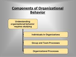 Fundamentals Of Organizational Behavior
