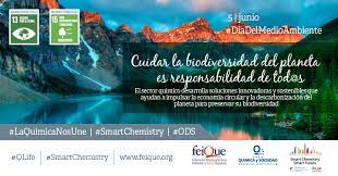 Onu medioambiente ha publicado una guía práctica que proporciona una introducción a la gama de acciones que pueden aplazar y. Dia Mundial Del Medio Ambiente 2020 La Hora De La Naturaleza Foro Quimica Y Sociedad