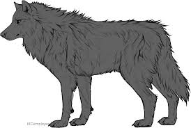 Alpha wolf is an australian metalcore band, originally from burnie, tasmania, currently located in melbourne, victoria, australia. Free Fluffy Wolf Side Base By Kfcemployee Human And Wolf Base Full Size Png Download Seekpng