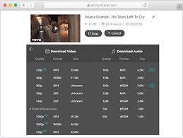 Online Youtube Downloader Free Youtube Downloader Amoyshare Download Music From Youtube Youtube Videos Youtube
