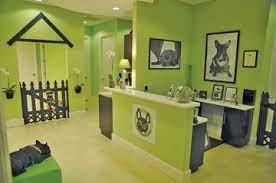 Paws Up For Pets Salon Owner Goes To The Dogs With Grooming Biz Dog Grooming Salons Grooming Salon Dog Grooming Salon Decor