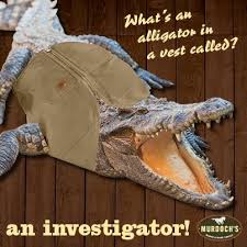 What Do You Call An Alligator In A Vest An Investigator Cute Little Animals Alligator Four Legged
