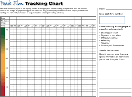 Peak Flow Chart Template Free Download Speedy Template