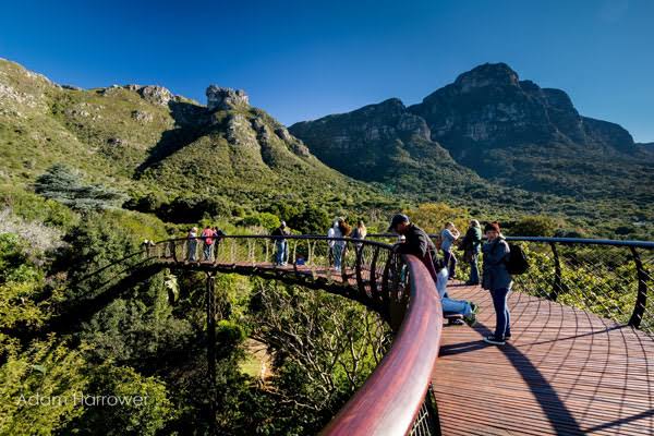 Kirstenbosch National Botanical Garden | West Coast Way