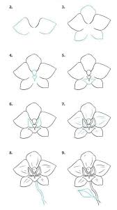 Out of a few ways to draw a lion, this one will let you achieve pretty impressive results. 35 Flower Drawings For Beginners Step By Step Harunmudak