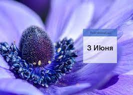 Какие праздники 3 июня 2021 года отмечают в мире, какой сегодня праздник в россии, годовщины и памятные даты в истории, дни рождения и именины 3 июня в полном календаре. 3 Iyunya Kakoj Segodnya Prazdnik Podrobnosti Ua
