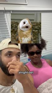 Animal trivia with the Ks @monarchautumn