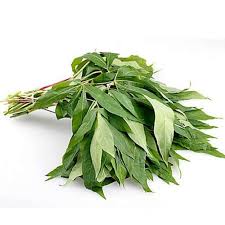 Beli daun pepaya sayur online berkualitas dengan harga murah terbaru 2021 di tokopedia! Sayur Daun Singkong 1 Ikat Terbaru Agustus 2021 Harga Murah Kualitas Terjamin Blibli