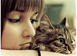 Kediler Ve Sinirsel Nobetler Kedi Bakimi Milliyet Blog