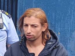 Builder who pretended to be garda to get woman into car in middle of night  is convicted