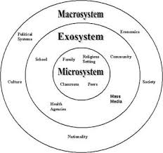 Urie Bronfenbrenner Founded The Ecological Systems Theory To Understand The Complex Relationship Betw Social Work Exam Social Work Theories Urie Bronfenbrenner