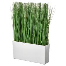Ikea Fejka Grass Artificial Potted Plant With Pot Artificial Potted Plants Artificial Plant Wall Artificial Plants
