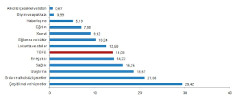 Bu oran enflasyon açısından ılımlı karşılanabilecek bir durumdur. Turkiye Istatistik Kurumu Tuketici Fiyat Endeksi Kasim 2020