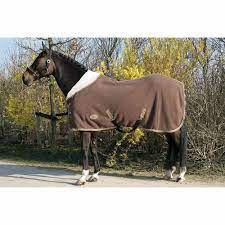 couverture polaire teddy fleece horses horse rugs cool rug
