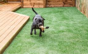 Artificial grass is the perfect pet friendly outdoor solution if you have animals in your home. Artificial Grass Coquitlam Ace Turf