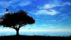 Good Quality Wallpaper 64 Group Wallpapers Hd Nature Wallpapers Nature Wallpaper Beautiful Nature Wallpaper Hd
