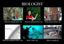 An Open Letter To The Umass Biology Department Biology Memes Science Memes Student Memes