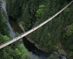 Immagine di Capilano Suspension Bridge Park, Vancouver