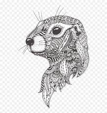 Dieren kleurplaatnl bob de bouwer kerst kleurplaat kabouter paddestoel kleurplaat kleurplaat cijfer kleurplaat moeilijk kleurplaat cijfer 7 afb 21882. Download Groundhog Day Line Art Head Drawing For Celebration Kleurplaat Mandala Dieren Moeilijk Png Celebration Png Free Transparent Png Images Pngaaa Com