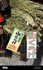 Healthy yamakurage, or sansai natural organic mountain vegetables, for sale  in an outdoor market in Nagano City Stock Photo - Alamy