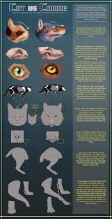 Emotion is defined as any mental experience with high intensity and high hedonic content. Tutorial Animals Felines On Drawing Tutorial Deviantart