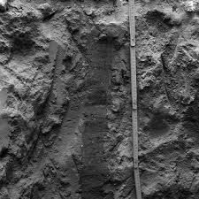 Dendrochronology is an interdisciplinary science, and its theory and techniques can be applied to. Pdf Soils And Paleosols At Ba Ja