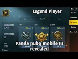 Panda Pubg Mobile Id Revealed Legend Player See Now Youtube