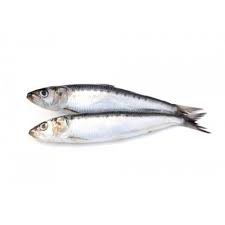 Mathi Fish Today Price100 Rs 500g Buy Now Daily Fresh Fish Fish Fresh Fish Stuff To Buy