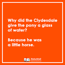 Funny stories to tell friends. 20 Cheesy Puns To Share With Friends Family