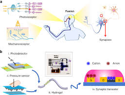 Free easy to edit professional. 0ddg9pw6uoq6 M