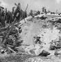 Profile Picture of File:Tarawa Island by Frank Filan.jpg - Wikimedia Commonson Google