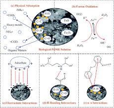 Rdsm (asia) sdn bhd (formerly known as rds marketing) is an authorized noco reseller in malaysia & other top brand partners around the globe. Treatment Of Oil Refinery Effluent Using Bio Adsorbent Developed From Activated Palm Kernel Shell And Zeolite Rsc Advances Rsc Publishing Doi 10 1039 D0ra03307c