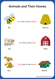 Baby sharks are called pups, baby kangaroos are called joeys. Printable Animals And Their Homes Worksheets Your Home Teacher