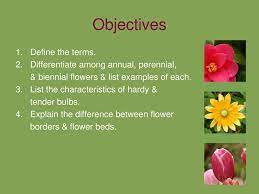 میهن بلاگ، ابزار ساده و قدرتمند ساخت و مدیریت وبلاگ. Flowers In The Landscape Ppt Download