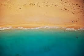 We are happy to announce the 2021 conservation action focus: Sea Ocean Beach Summer Aerial People Vacation Man Piqsels