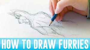 The bones of a cat's spine and tail are more loosely connected than those of a human, allowing the cat's body and tail to bend flex flexibly. How To Draw Furries 5 Ways To Draw Fox Cat Husky Lion And Wolf Tails Youtube