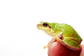 Frosch Im Hals Das Konnen Sie Dagegen Tun
