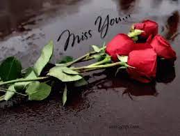 Check spelling or type a new query. Miss You Roses Gif Miss You Roses Red Discover Share Gifs