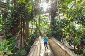 Follow for a peek into our 1,100+ acres of gardens and preserves! Guide To The United States Botanic Garden In Dc Washington Dc