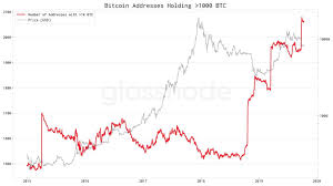 Ok here are my reasons for bitcoin crashing anytime soon. Why Is Bitcoin S Price Crashing Coin Rivet