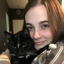 The Outsiders by S. E. Hinton