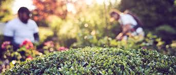 1 bis 10 von 1.002 stellenangeboten. Volz Gartengestaltung