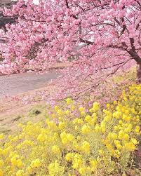 Pin By Mandie Mckean On Pink Yellow In 2020 Yellow Aesthetic Pastel Yellow Aesthetic Aesthetic Backgrounds