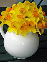 All Things Shabby And Beautiful Flower Display Daffodil Bulbs Beautiful Flowers