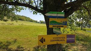 Zeitpunkt sowohl die schwestern pulgarns protestantisch machte. Steyregg Donau Hohen Rundwanderweg Pulgarn Hohenstein Und Zuruck Bergfex Wanderung Tour Oberosterreich