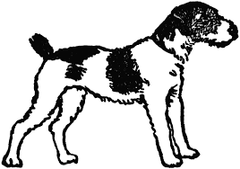 Black And White Spotted Dog Clipart Black Spotted Dog Spotted Dog Black And White Dog Dogs